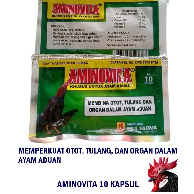 AMINOVITA 10 kapsul - OBAT VITAMIN AYAM ADUAN PENGUAT OTOT AYAM