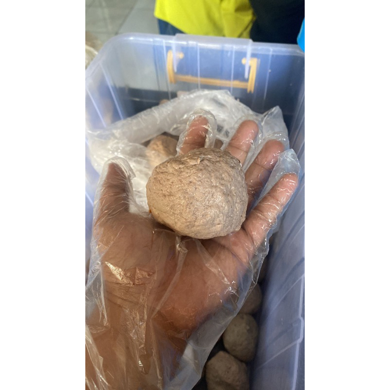 

BASO IKAN BANDUNG ISI 4