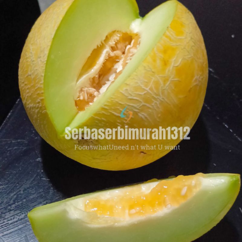 

Benih Biji Melon Madu Hijau