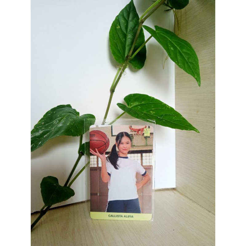 photocard JKT48 CALLIE summer tour 2023