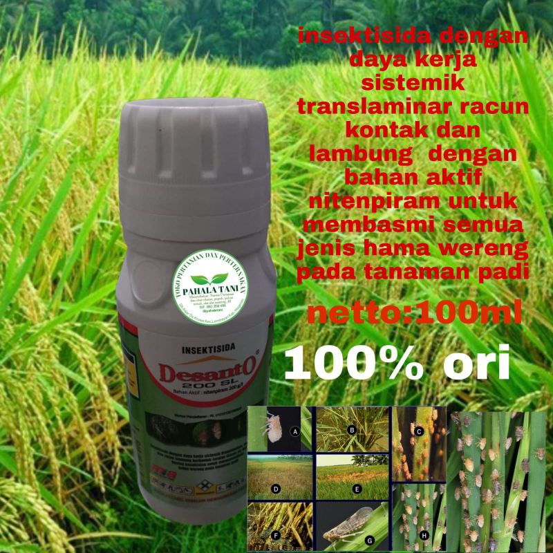 Desanto 200 SL/nitenpiram 200g/l/obat wereng/pembasmi wereng/hama wereng/ wereng hijau /wereng cokla