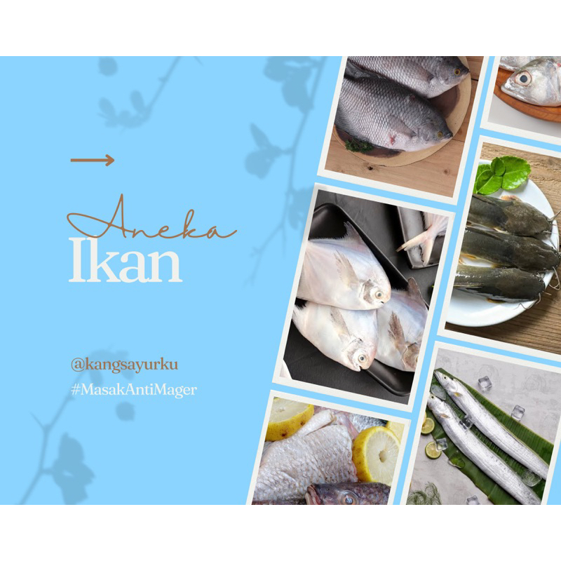 

Aneka Ikan / Ikan Gurami / Ikan Mujair / Ikan Nila / Ikan Kembung / Ikan Bawal / Ikan Pindang / Ikan Lele