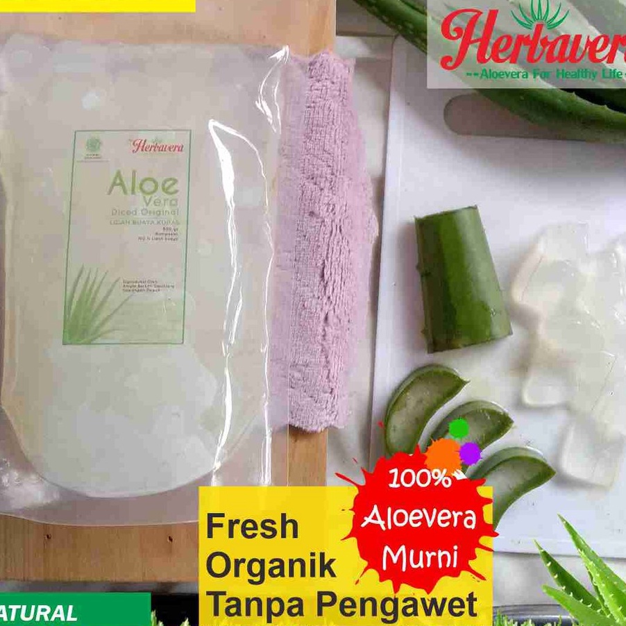 

Dijamin Ori Lidah Buaya Aloevera Kupas 5 gram