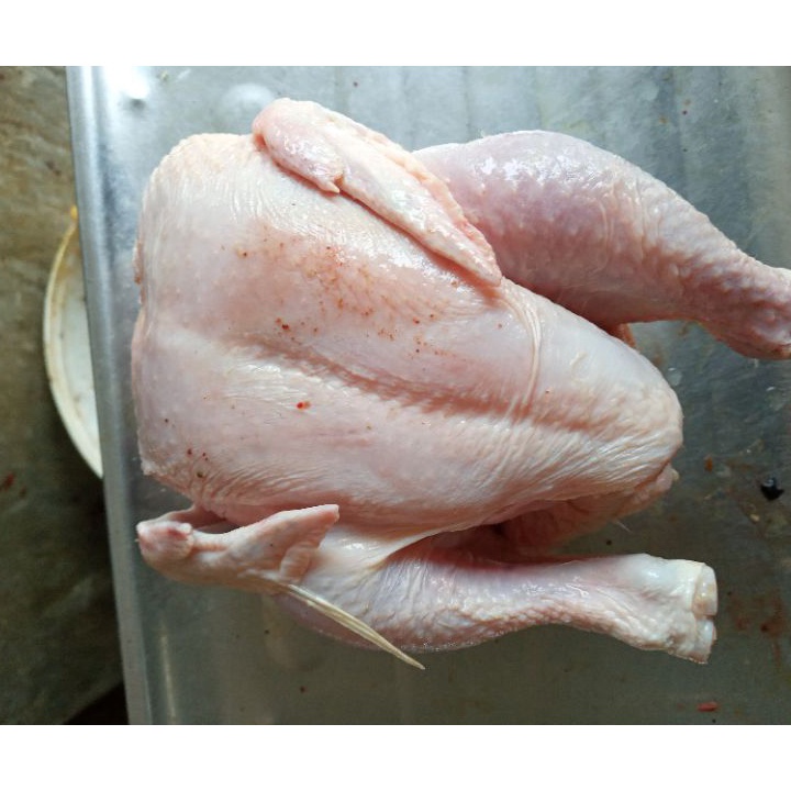 

XG34448 ayam broiler uk 8 sd 9 onsayam broilerayam potongayam murah