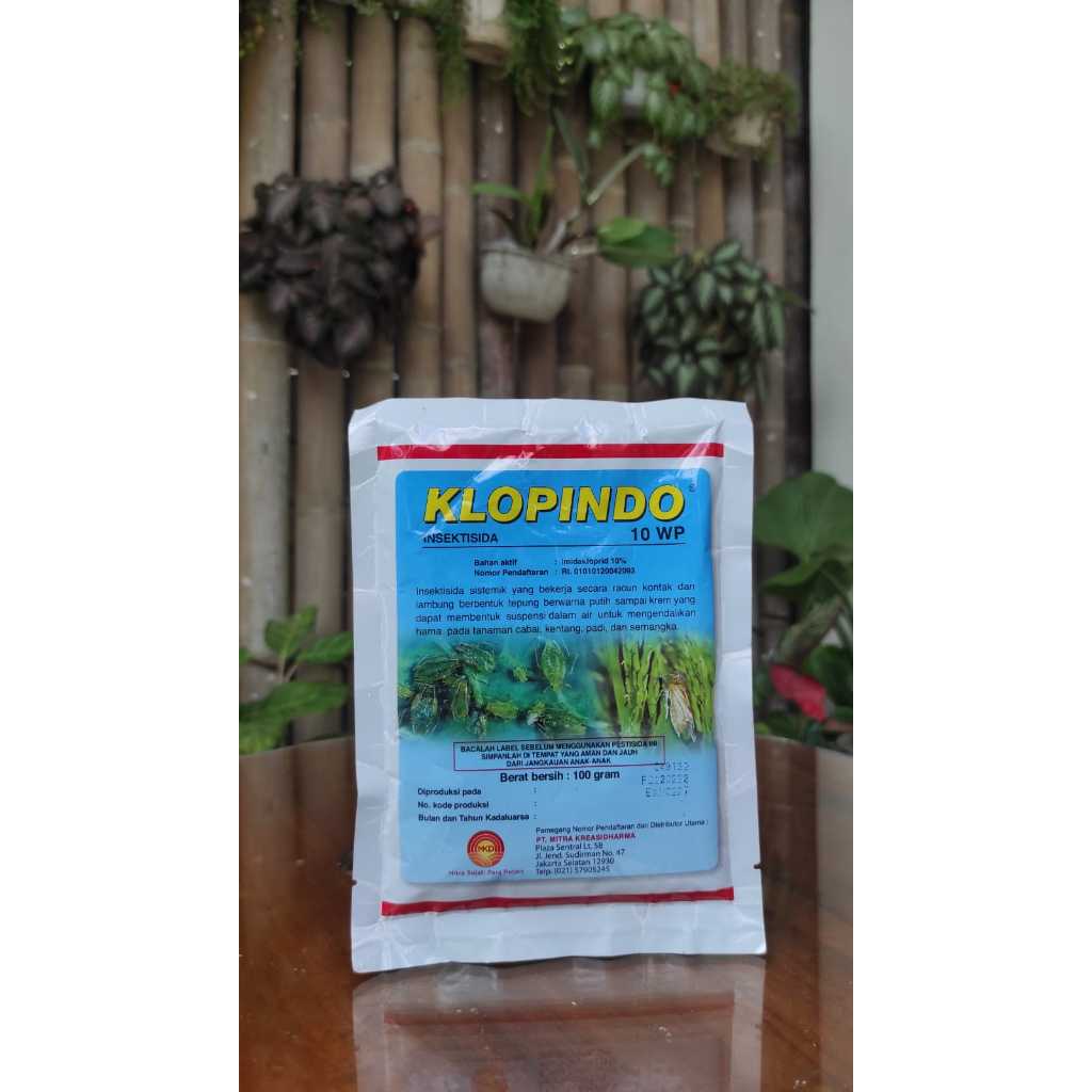 Obat kutu kebul Klopindo