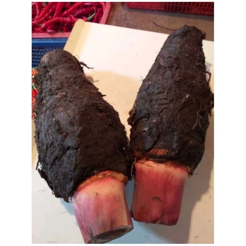 

RB TALAS PONTIANAK 1KG / TALAS KALIMANTAN / PULEN / JAMIN SEGAR