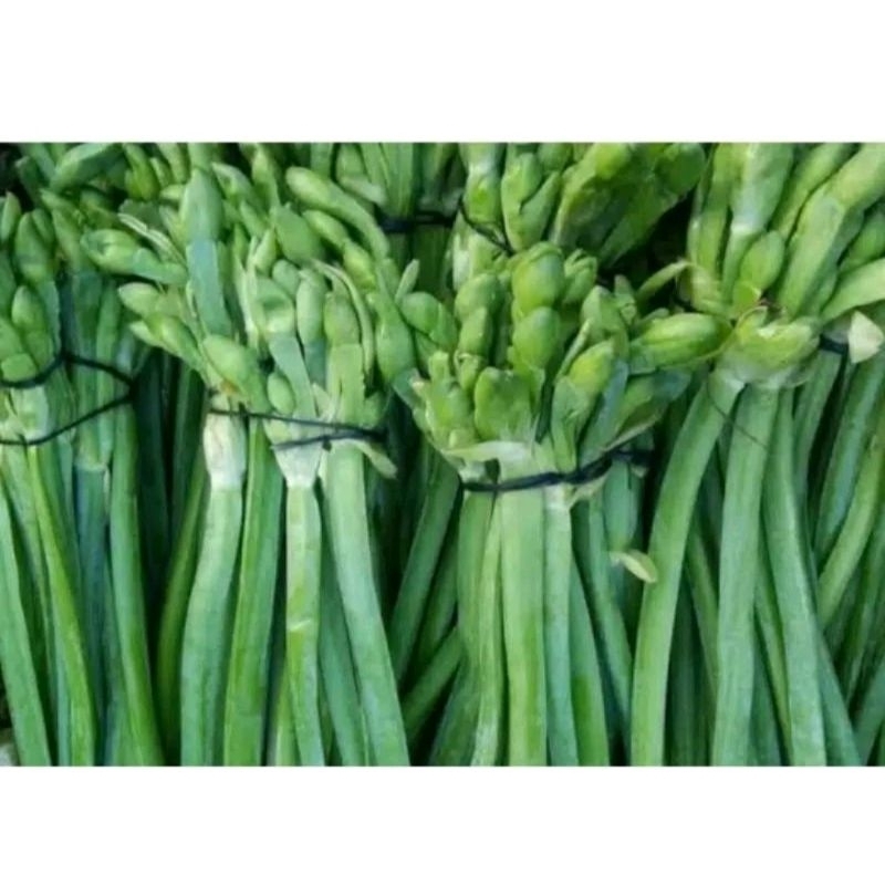 

SAYUR GENJER PER IKAT BESAR / BUNGA GENJER / JAMIN SEGAR