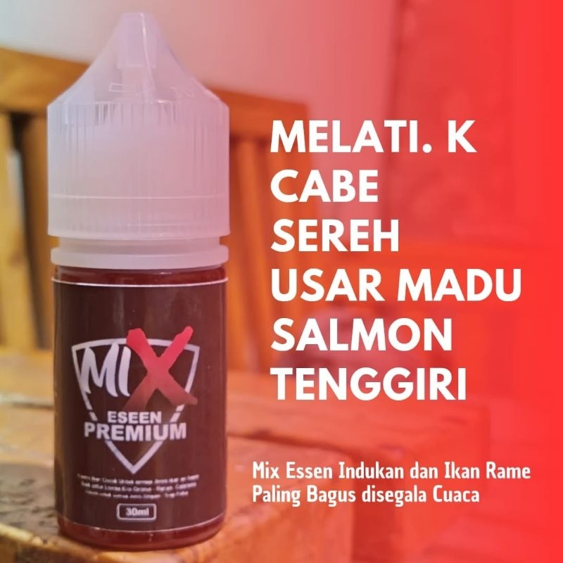 Essen Cabe Melati Sereh Usar Salmon Tenggiri/Mix Essen Lomba Harian