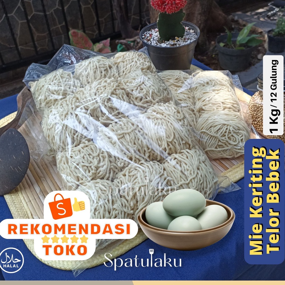 

FREE ONGKIR MIE KERITING TELOR BEBEK Mie Mentah serbaguna 1 kg isi 12