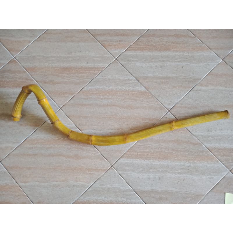 BAMBU UNIK BAMBU APUS ORI SUDAH DI PERNIS