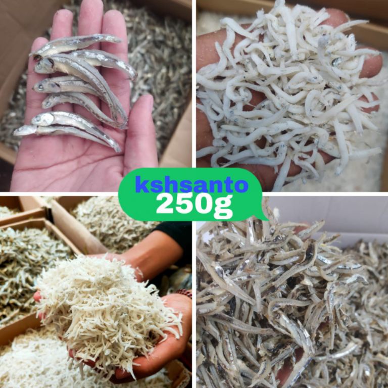 

Cuci gudang ikan asin aneka teri medan netto25g