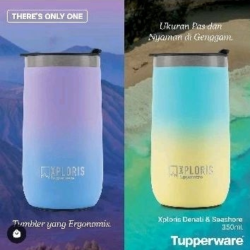 Xploris 350ml Tupperware