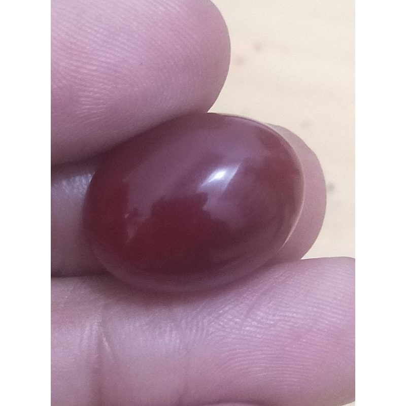 NATURAL KING OBI MERAH - BACAN OBI MERAH MAROON