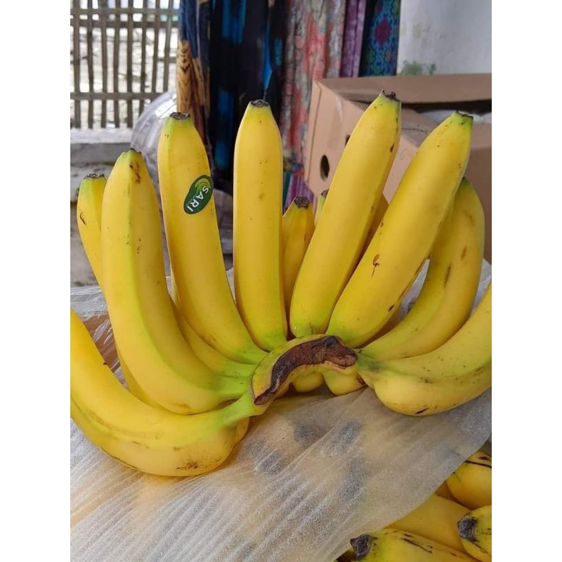 

buah pisang cavendish premium