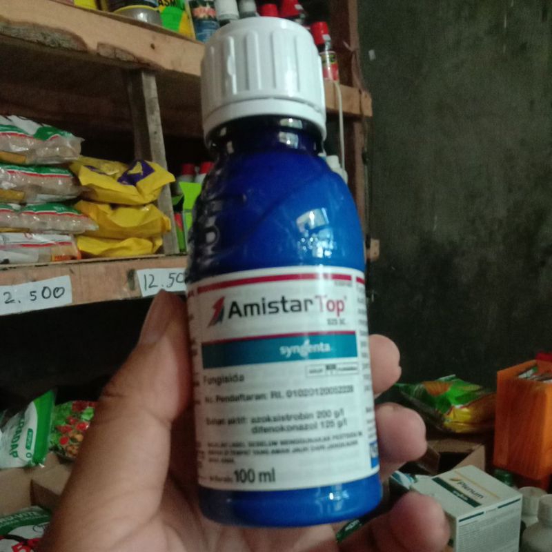 Amistartop 100ml fungisida