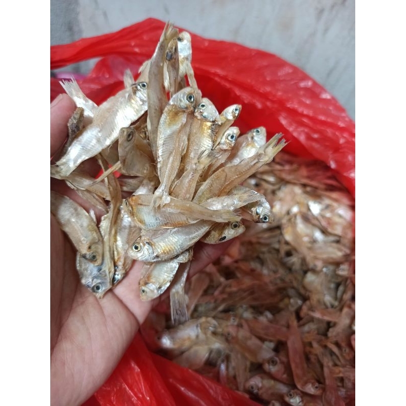 

IKAN ASIN / CUMI ASIN / TERI NASI / TERI MEDAN / JAPU 1 Kg