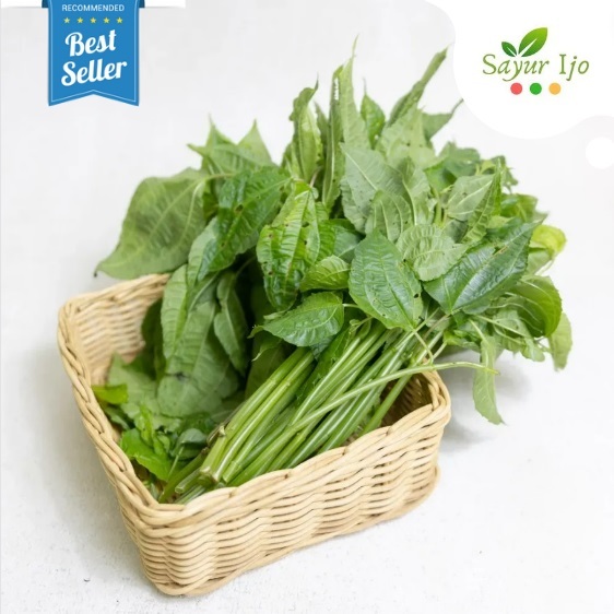 

Daun Pohpohan -/+ 200 Gram / Pack Fresh Sayur Hijau Segar