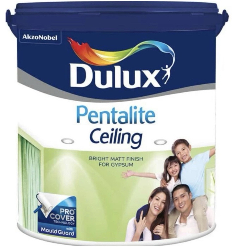 Dulux Pentalite Ceiling 25kg