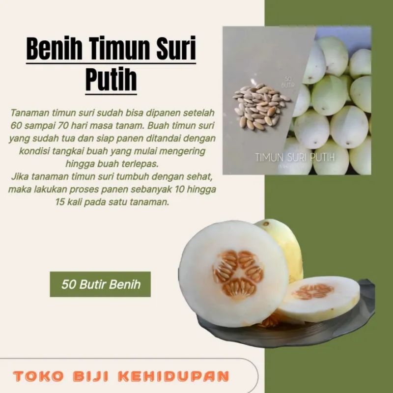 50 BIJI BENIH TIMUN SURI PUTIH