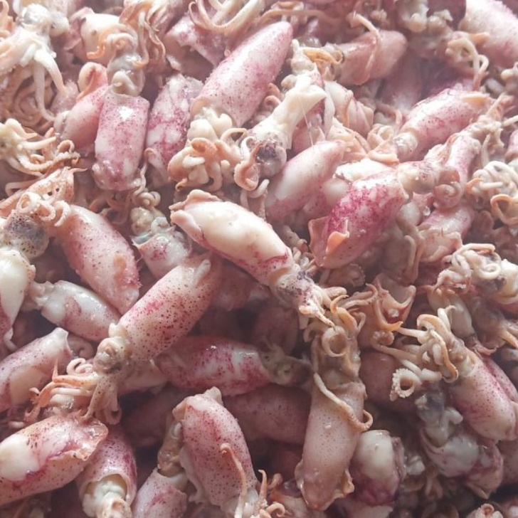 

Terbaru 33 Ikan asin cumi Beby 5gr 1sampai 4cmcumi asin baby rebusbasacumi asin baby