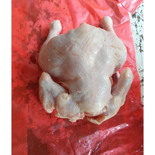 

Stok terbaru Ayam bROILER FROZEN 5kg ayam broilerayam potongayam negri