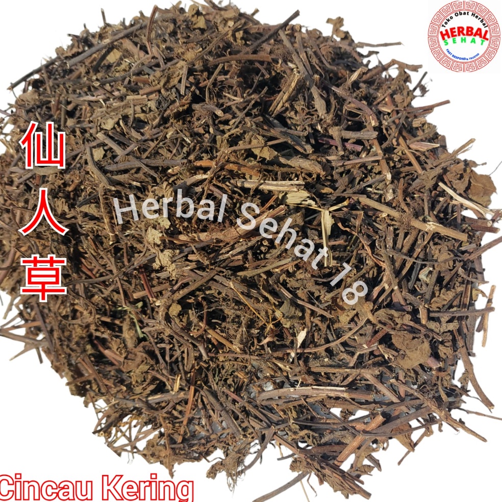 

FLASH SALE Daun Cincau Hitam Kering 1 Kg 1 Gram Lengkong Leng Kong Cingcau Xian Ren Cao