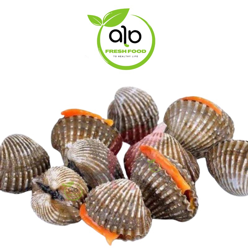 

Kerang dara fresh - ALO Fresh Food