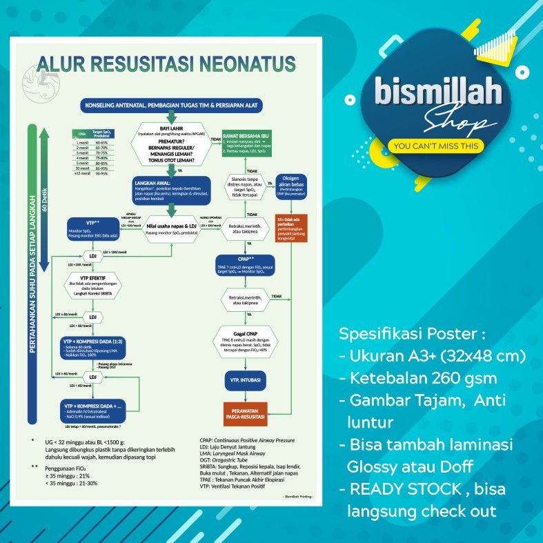 Poster kebidanan Alur Resusitasi Neonatus