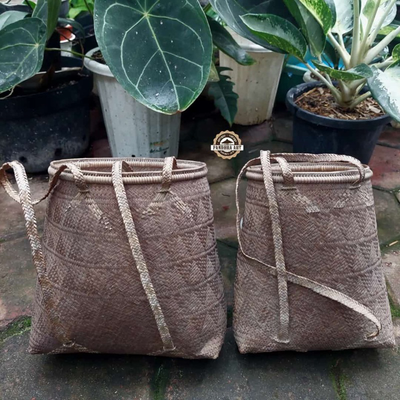 ANJAT rotan KUNO dari DAYAK Borneo