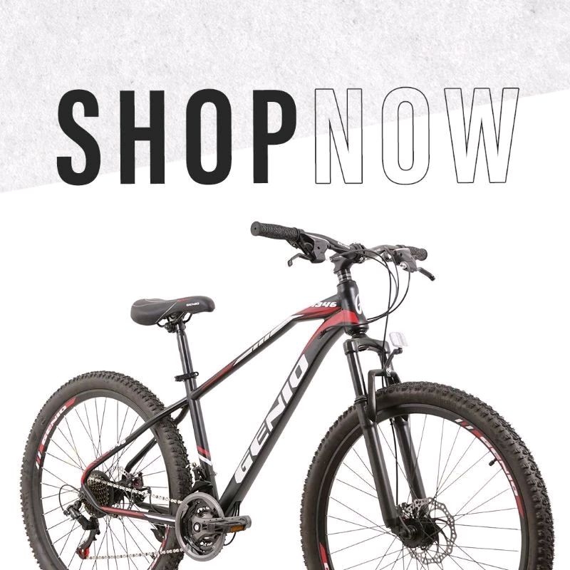 Sepeda gunung Genio M346