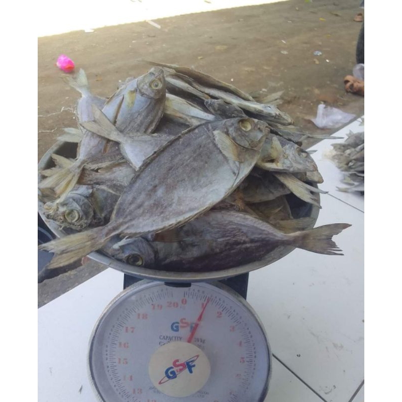 

ikan Carra labuan bajo