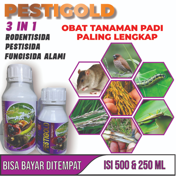 OBAT HAMA ULAT PADI SUNDEP BELUK Obat Hama Padi Terbaik, Obat Premium Atasi Hama Ulat Sundep, Wereng