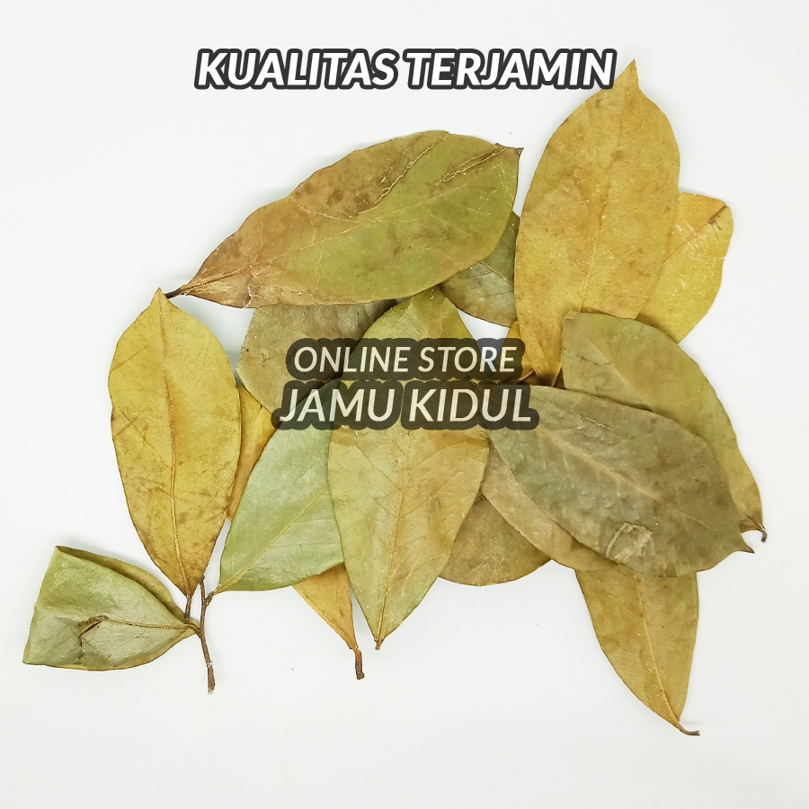 

Daun Sirsak Kering 100gr Asli Hutan - Lebih Berkhasiat