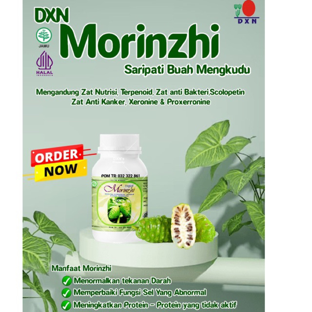 Morinzhi DXN -Kapsul isi 90