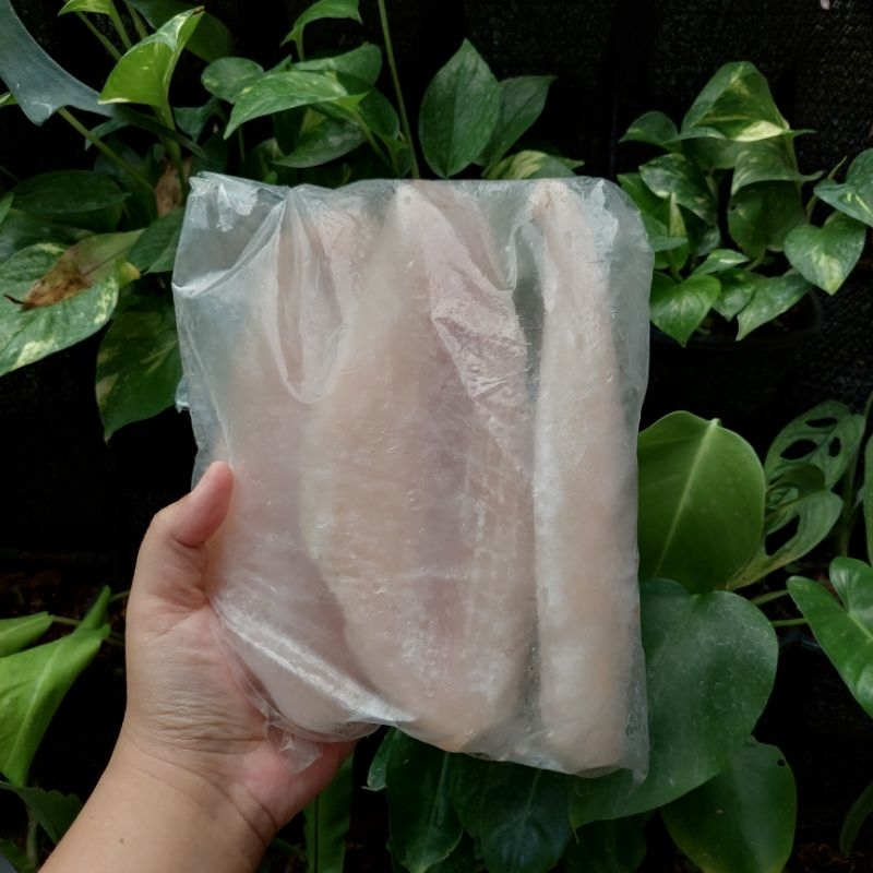 

Ikan Dori Fillet 1 Kg