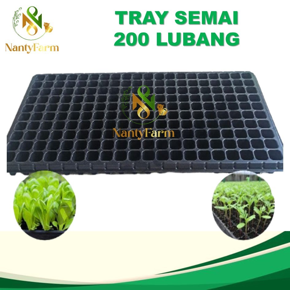 Tray Semai 200 Lubang Traypot Pot Bibit Biji Tray Nampan- Tray Semai 200 Lubang
