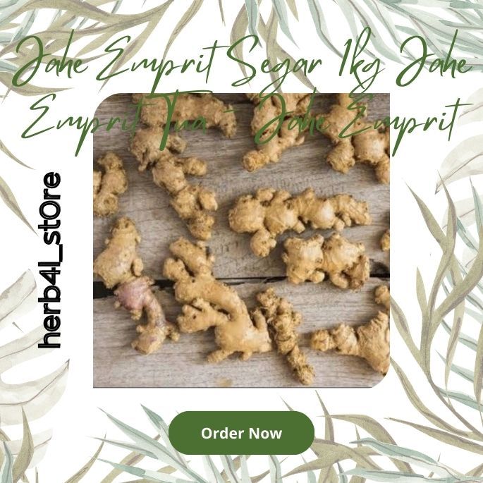 

Jahe Emprit Segar 1kg Jahe Emprit Tua - Jahe Emprit Herb4l_St0re Termurah