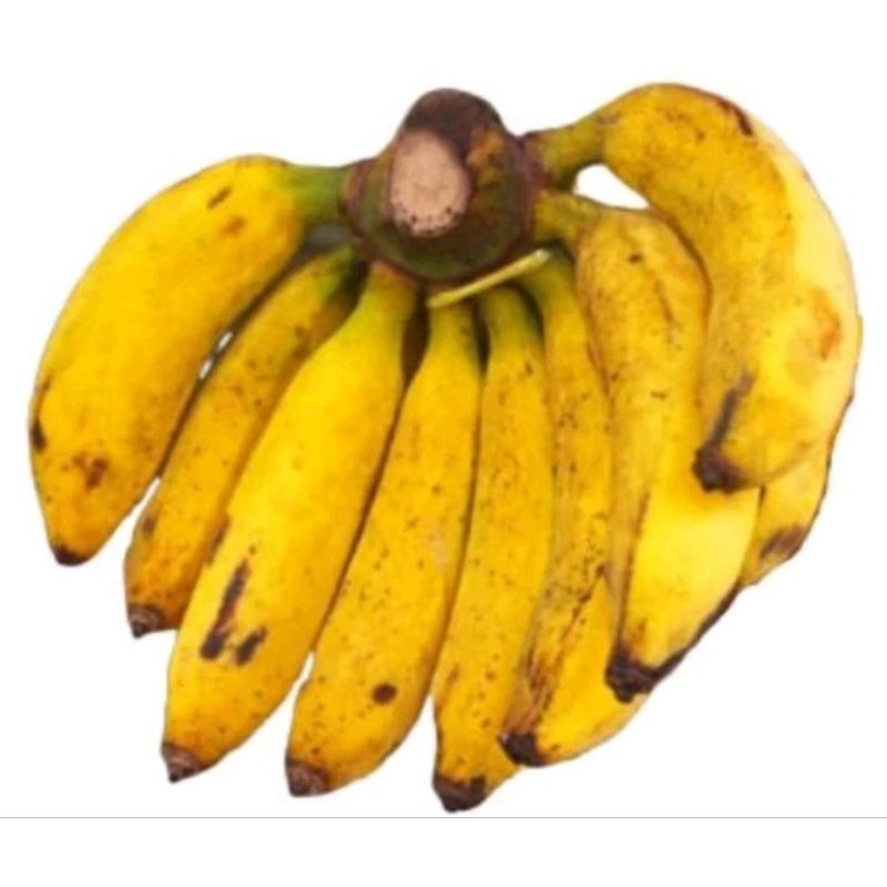 pisang raja bulu 1 sisir