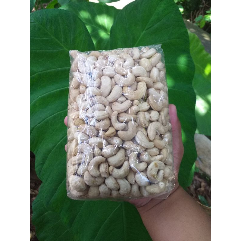 

KACANG METE ASLI BANTUL ENAK GURIH UTUH MENTAH 1 KILO