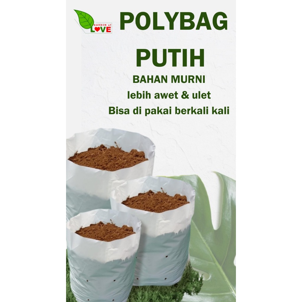 Polybag 30 Putih  1/2 kg /Polibag 30x30cm /Kualitas Bagus Grosir semai benin