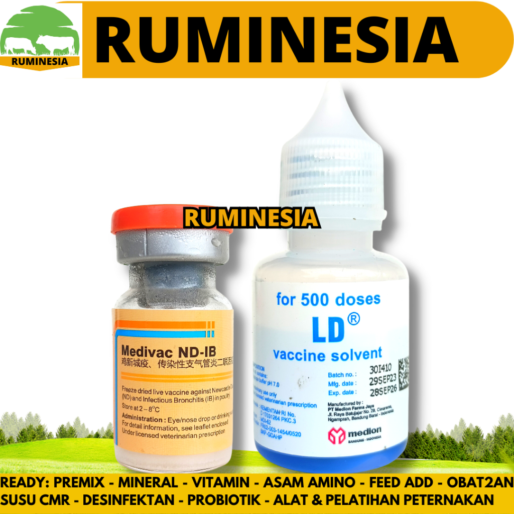 VAKSIN MEDIVAC ND IB DOSIS 500 EKOR + PELARUT MEDIVAC MEDION - Vaksin Ayam Tetelo dan Infeksius Bron