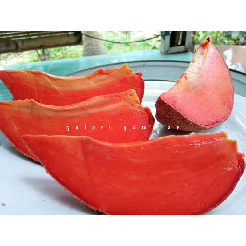 

BUAH MAMEY SAPOTE (Sawo Amerika -+2kg /buah)