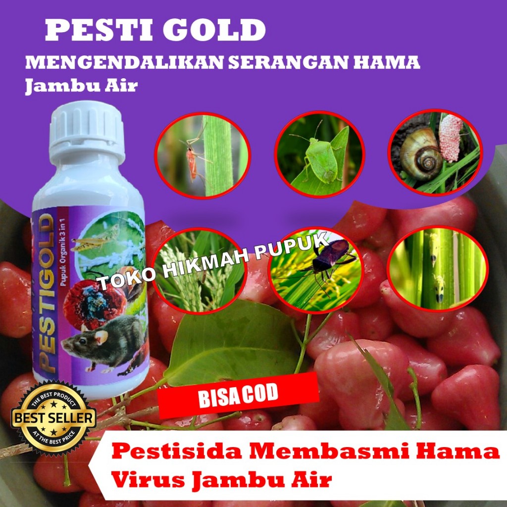 Pupuk Jambu Air agar Lebat dan Melimpah PESTI GOLD Pestisida Basmi Ulat Jambu Air Lokal & Hama Jambu