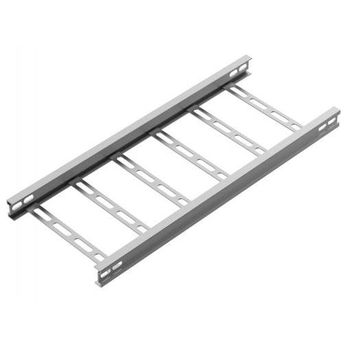 LADDER TRAY 300X100MM
