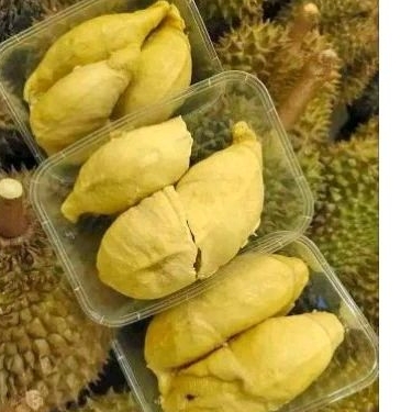 

Durian Palu Parigi Fresh