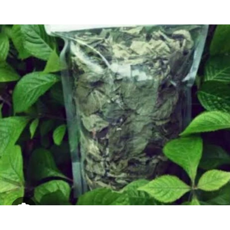 

daun pecah beling daun herbal isi 200 gr reddy pres dan kering