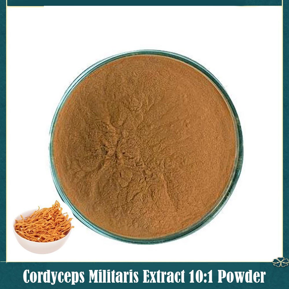 

Cordyceps Militaris Mushroom (Jamur Dōng Chóng Xià Cǎo) Extract 10:1 Powder 50 gr Food Grade