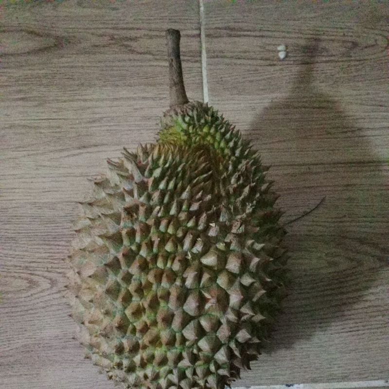 

durian lokal manis