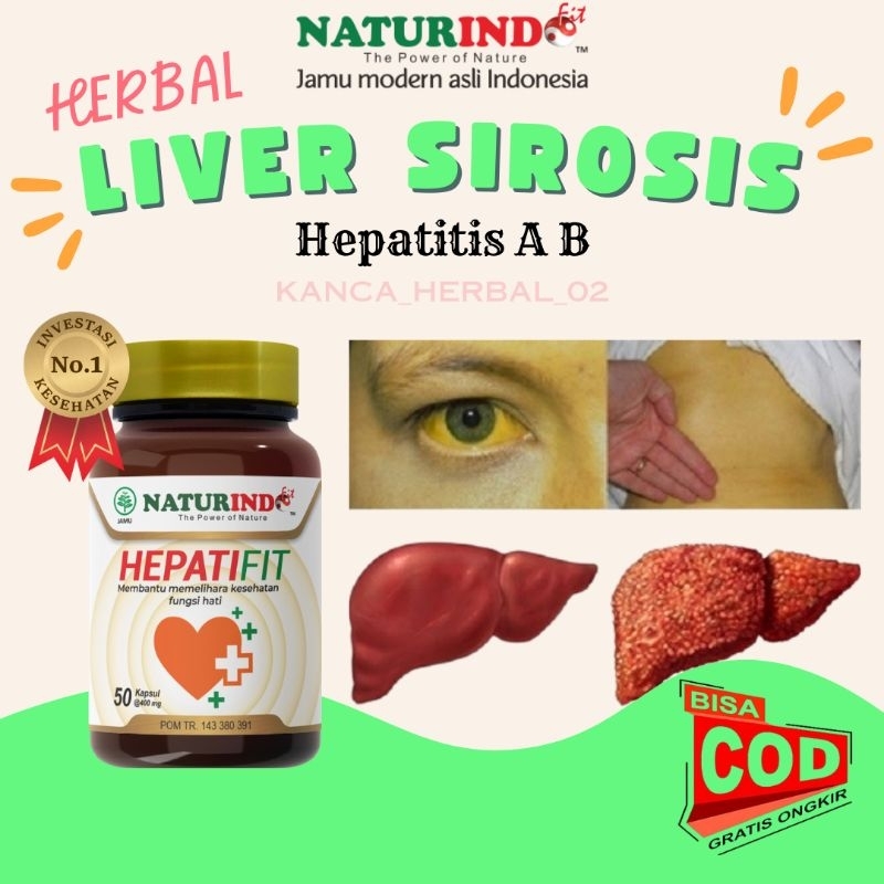 Obat Herbal  Liver Hepatitis Kaki Bengkak Sirosis Perut Bengkak