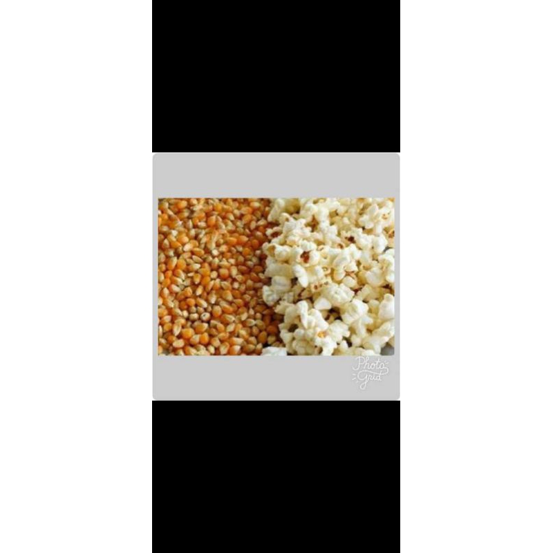 

jagung pop corn 250gr